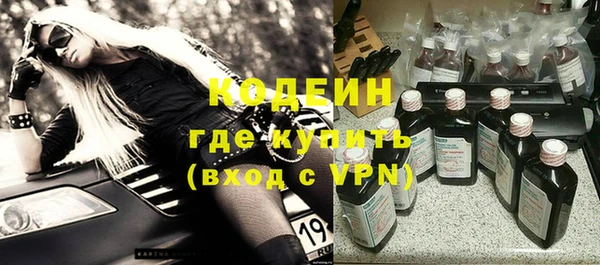 гидра Бородино