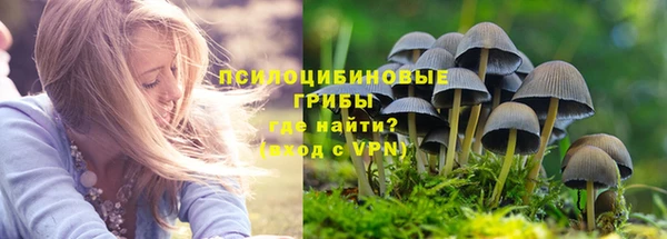 тгк Верхний Тагил
