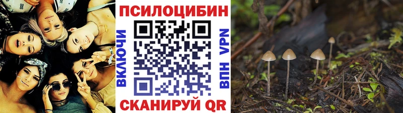 ссылка на мегу ТОР  Карпинск  Галлюциногенные грибы Cubensis 